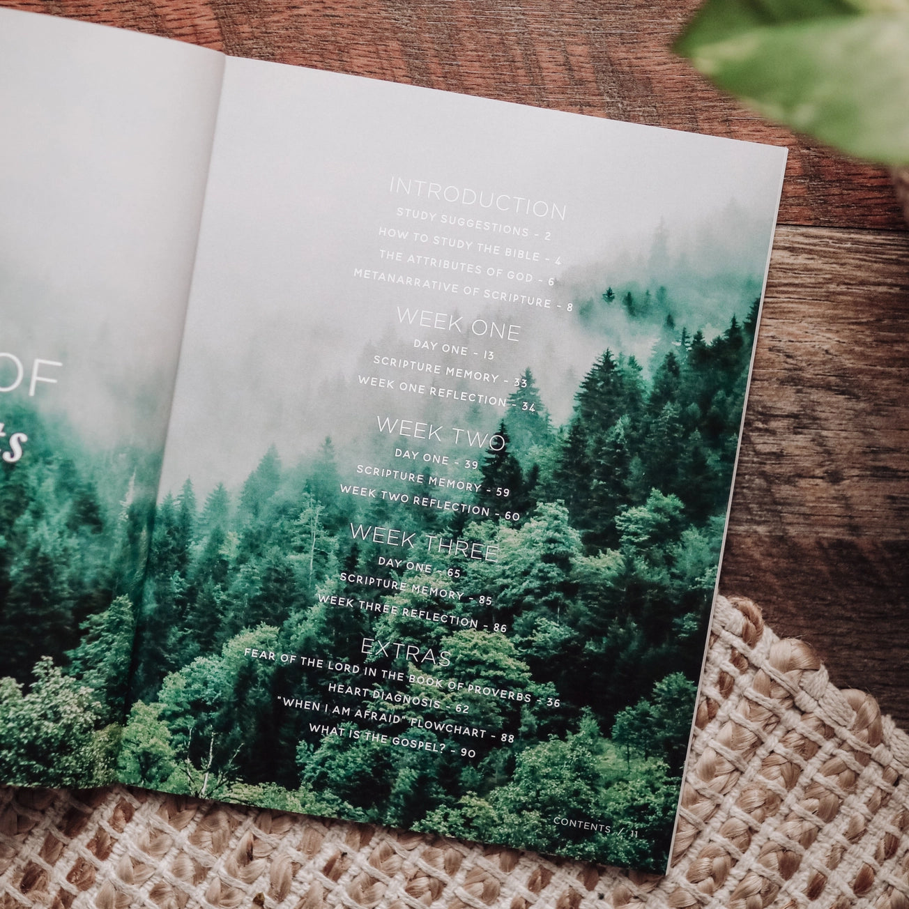 When Fear Meets Faith - Study For Men
