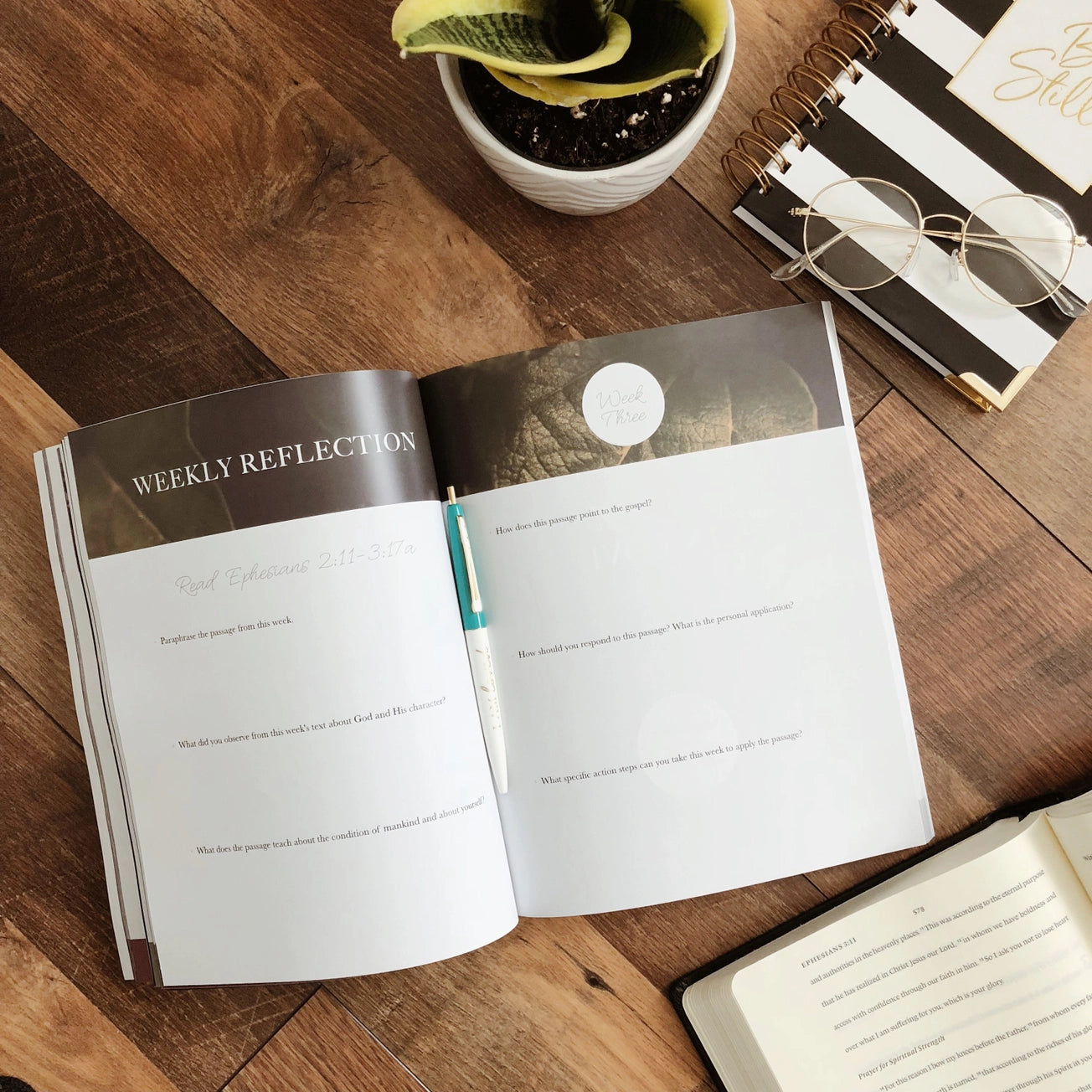 Chosen | Study of Ephesians