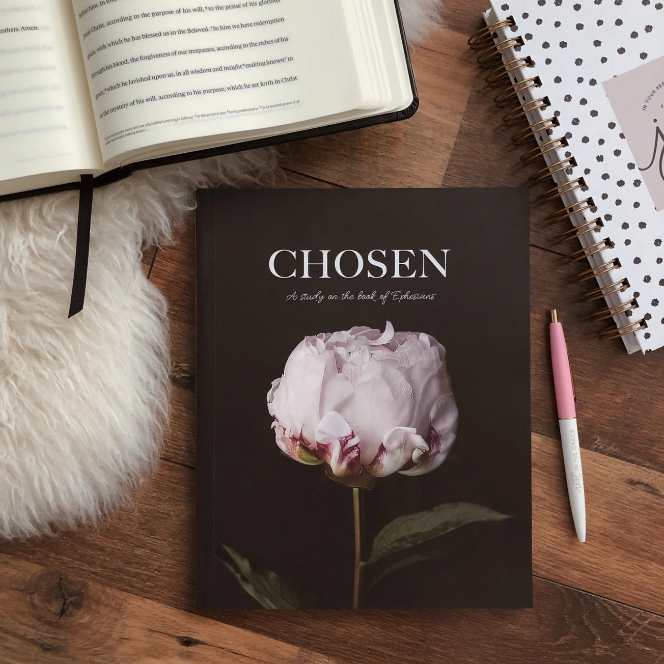 Chosen |  Study of Ephesians