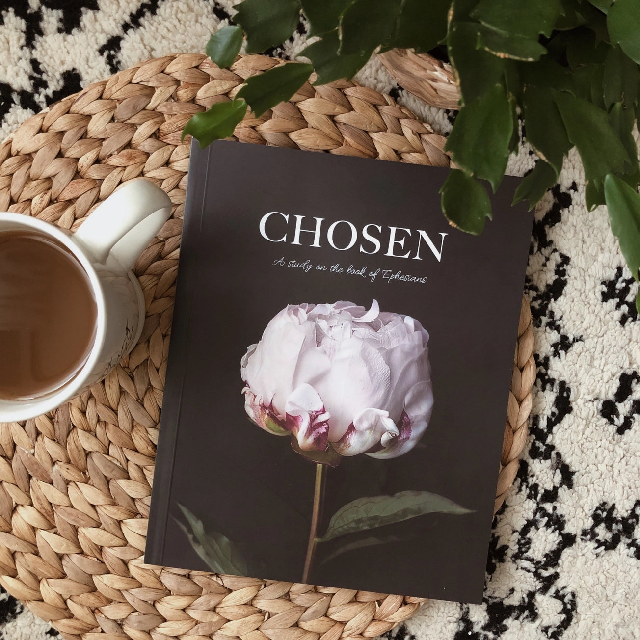 Chosen |  Study of Ephesians