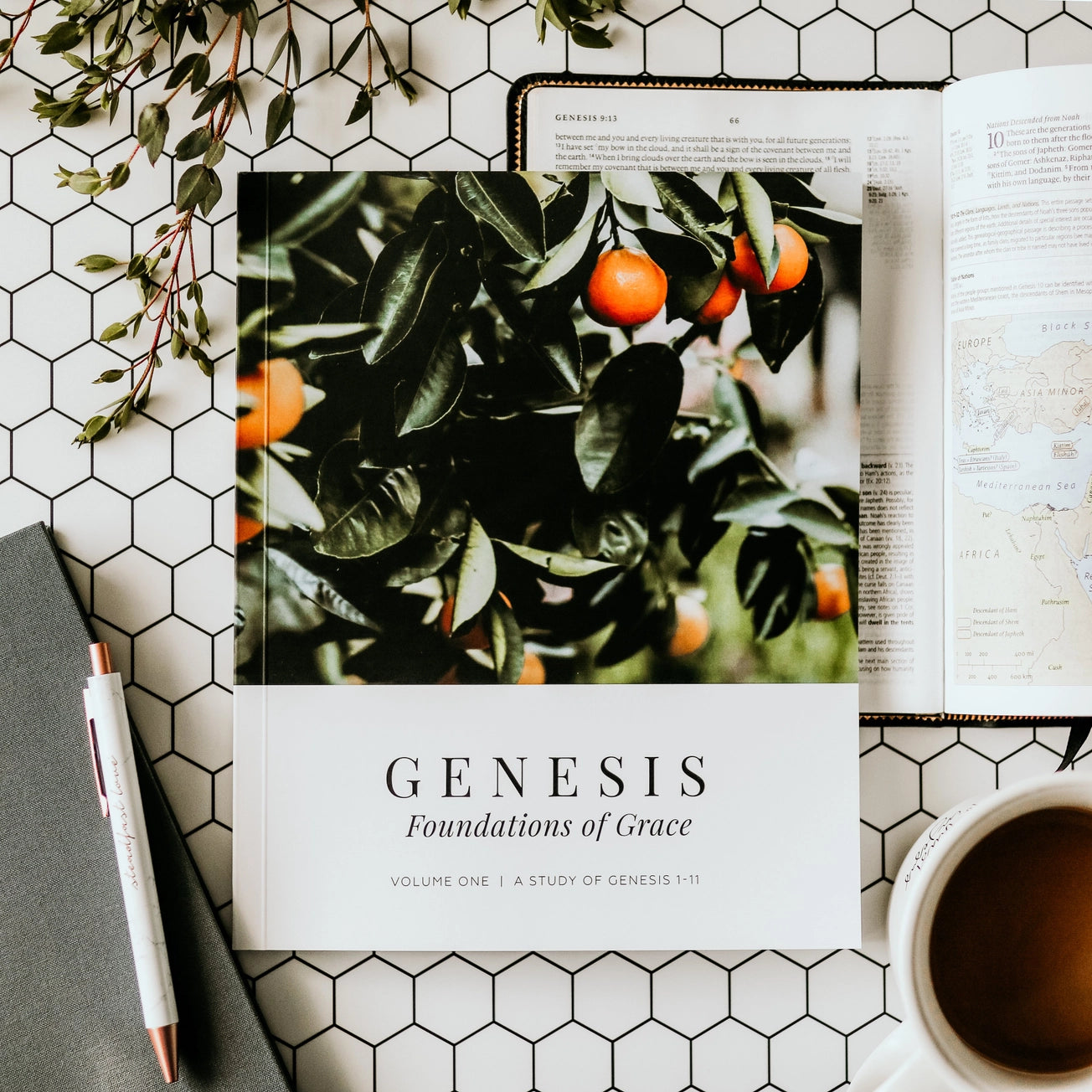 Foundations of Grace | Genesis Vol. 1 -